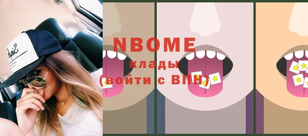 индика Новокубанск