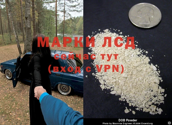jwh Новозыбков