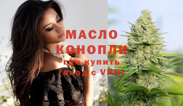 индика Новокубанск