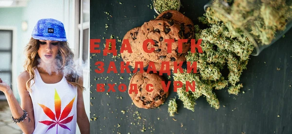 индика Новокубанск