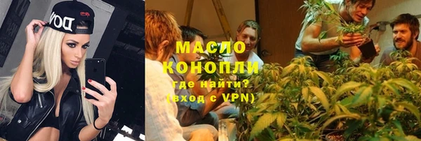 индика Новокубанск