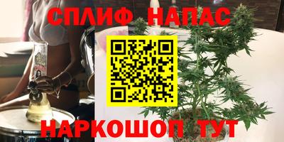 СК Абинск