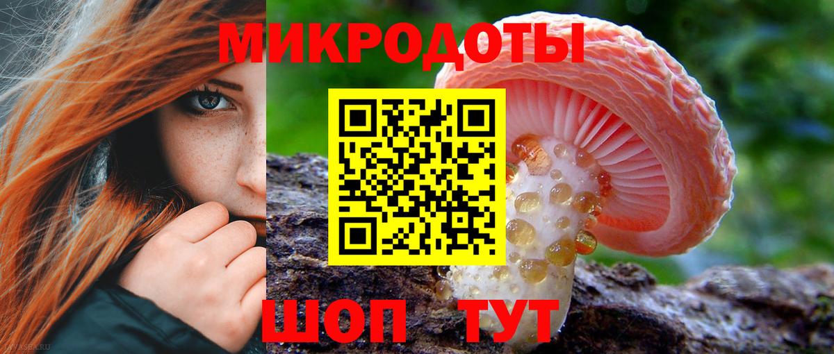 купить закладку  Вход с VPN  Верхняя Салда  Псилоцибиновые грибы Cubensis 