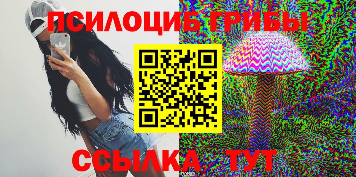 Галлюциногенные грибы Psilocybe Верхняя Салда